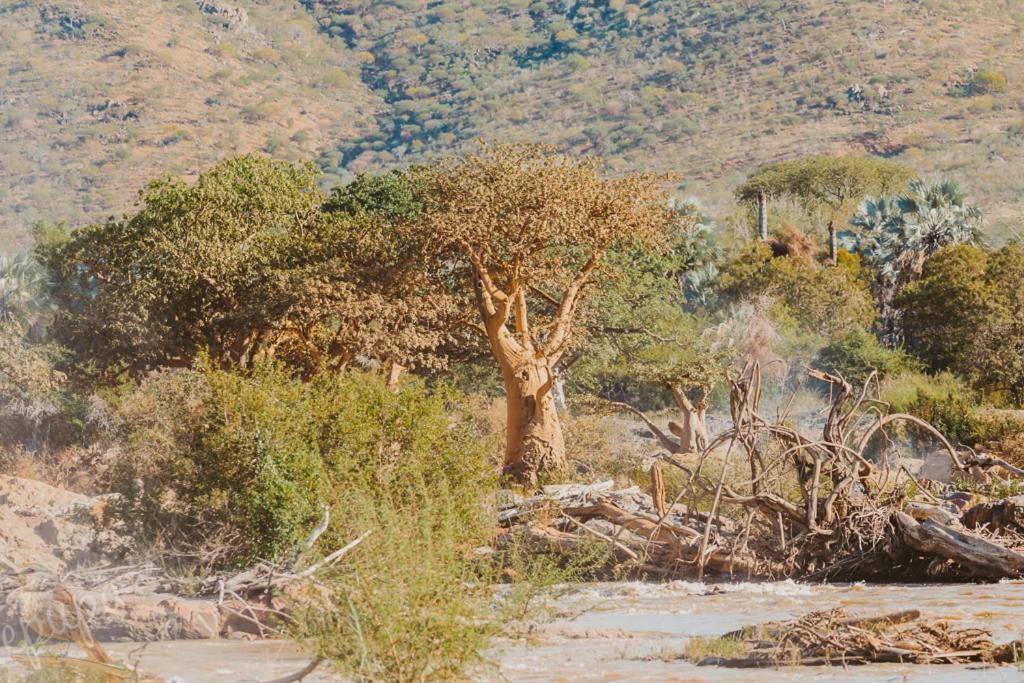Epupa Falls Lodge Luaran gambar
